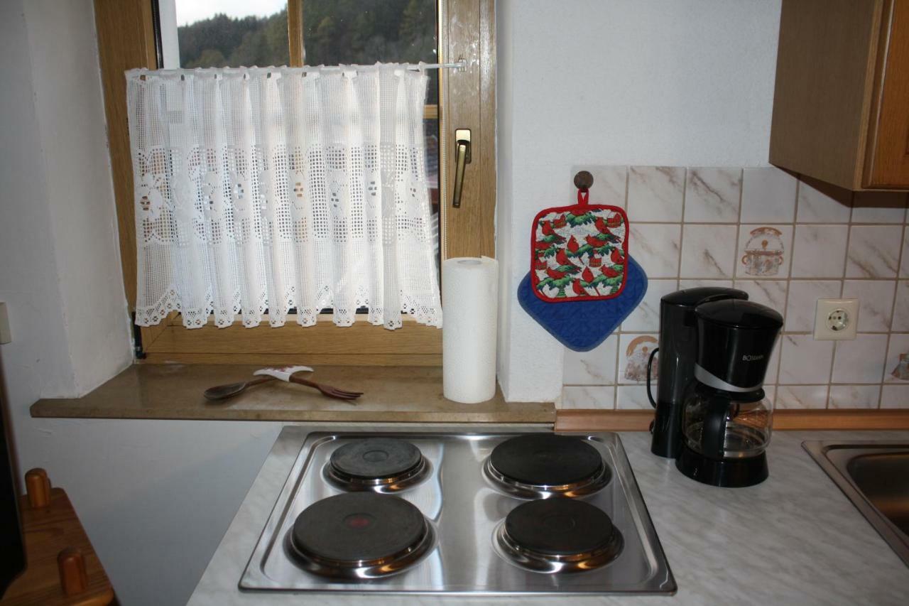 Ferienwohnung Eva Und Alexander Hirschbach  Esterno foto